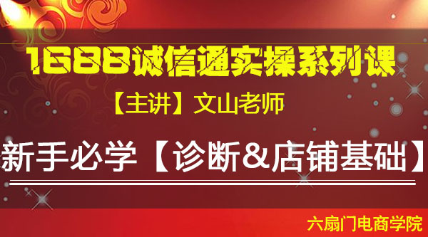 VIP系列课《新手必学【诊断&店铺基础】》文山